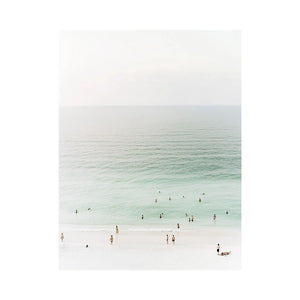 Flight Of The Azure Coast