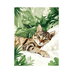 Tabby Cat