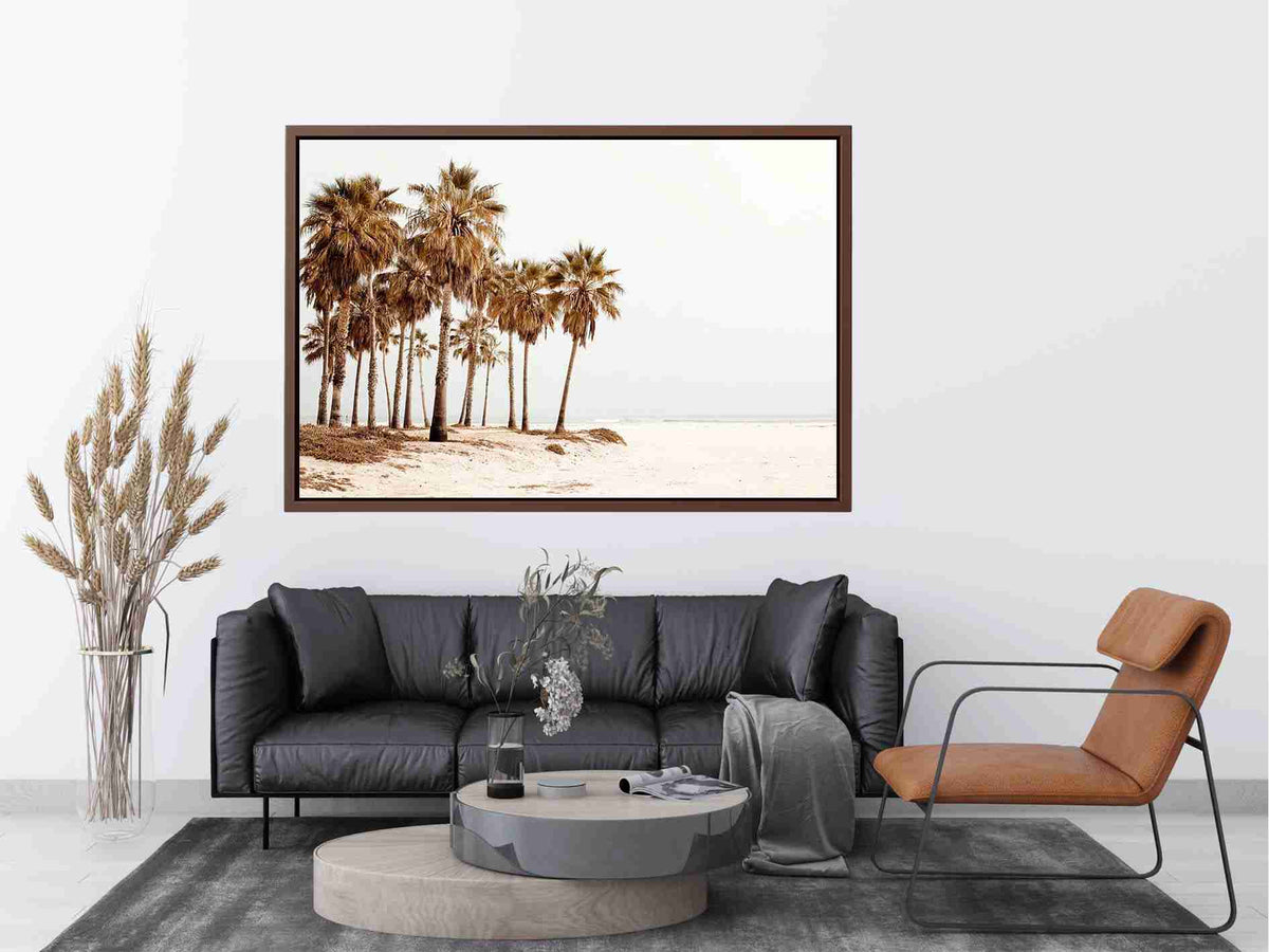 The Quiet Palm