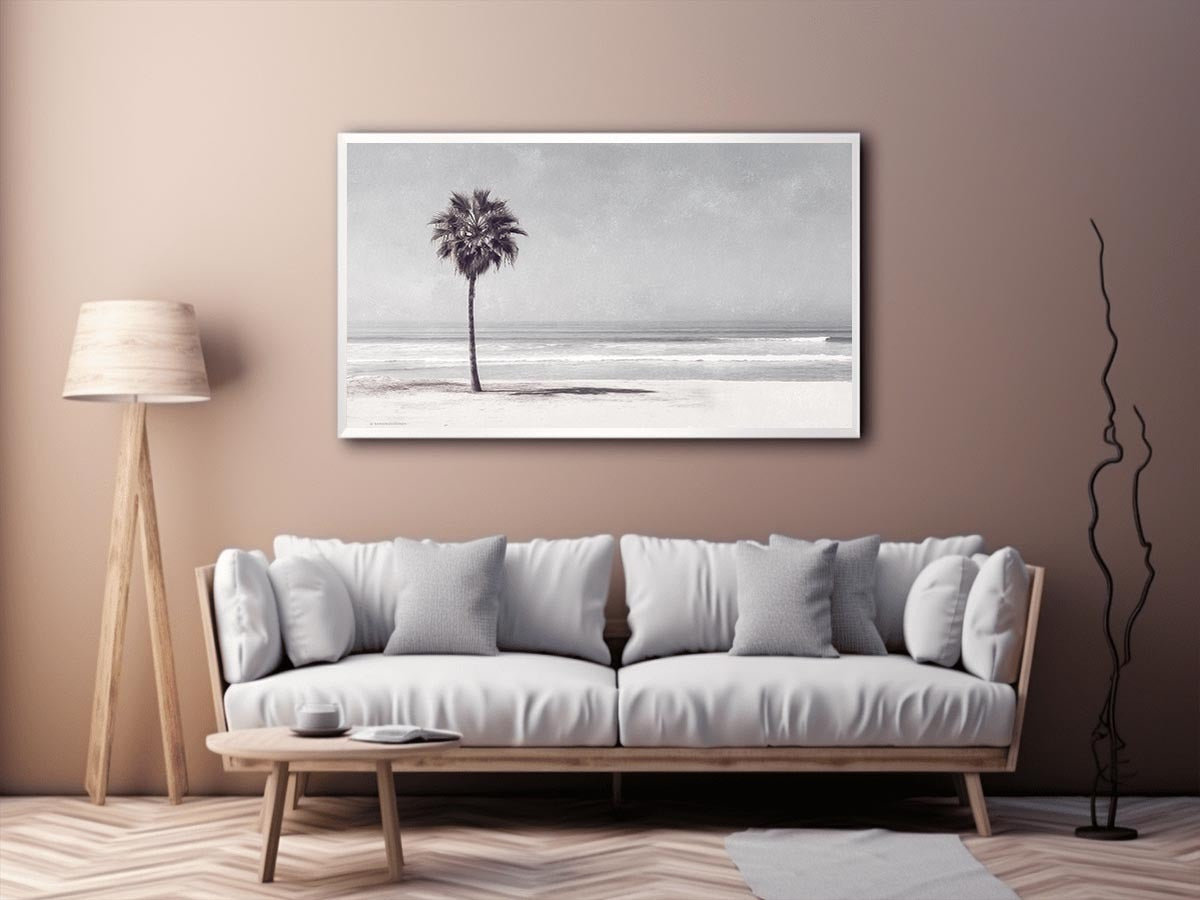 Palm on beach