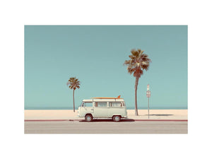 Ride the Tide, Rest in Shade