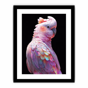 Framed Print