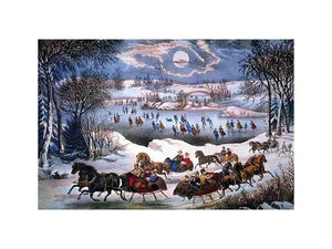 New York Central park In winter