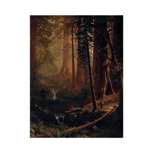 Giant Redwood Trees of California by Albert Bierstadt