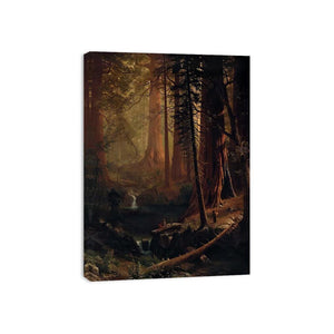 Giant Redwood Trees of California Painting