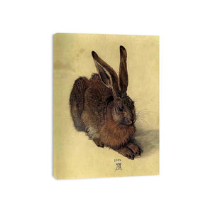 Young Hare I by Albrecht Durer Painting