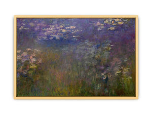 Agapanthus (center panel) Streched canvas