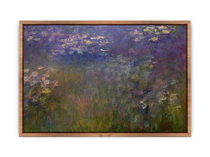 Agapanthus (center panel) Poster