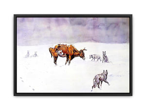 Waiting for a Chinook Canvas Print
