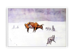 Waiting for a Chinook Framed Print
