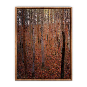Beech Forest Buchenwald I Poster