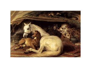 The Arab Tent 1866 by Sir Edwin Henry Landseer