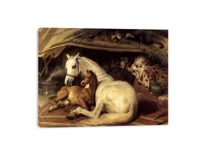 The Arab Tent 1866 by Sir Edwin Henry Landseer Painting
