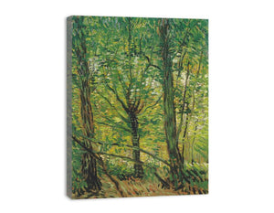 tree And Undergrowth canvas Print