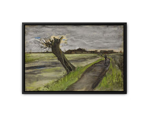 Pollard Willow By Van Gogh canvas Print