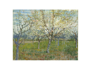 Pink & The White Orchard Art Print.