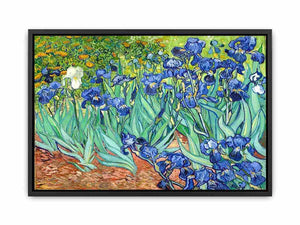 Irises By Van Gogh Painting Canvas Print