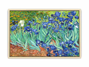 Irises By Van Gogh Painting Art Print
