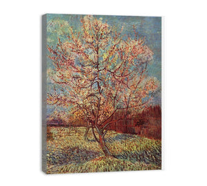 Peach Tree in Blossom / Flowering Peach Tree canvas Print