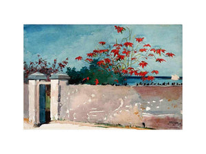A Wall, Nassau by Winslow Homer