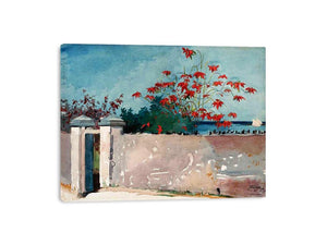 A Wall, Nassau by Winslow Homer Painting