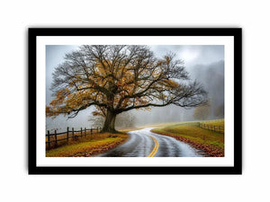 Mist-covered autumn road and tree