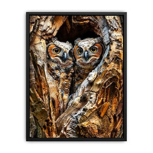 Two baby owls in a tree hollow