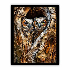Two baby owls in a tree hollow