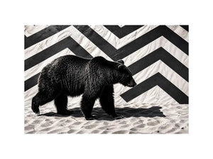 Black bear on textured sand backdrop