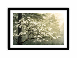 Misty morning in a flowering forest