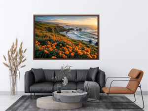 Sunlit coastal cliffs and wildflowers
