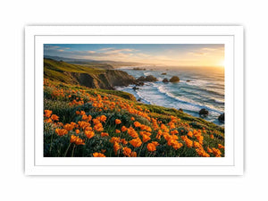 Sunlit coastal cliffs and wildflowers