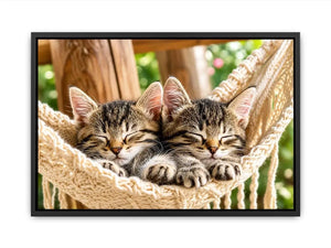 Sleeping kittens in a hammock