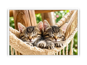 Sleeping kittens in a hammock