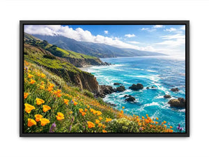 Coastal cliffs and wildflower meadow