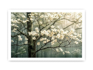 Misty dogwood blooms in foggy forest