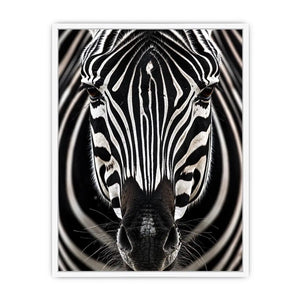 Zebra close-up with striking symmetry