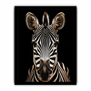 Zebra portrait in dramatic lighting