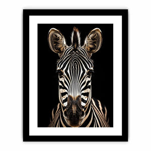 Zebra portrait in dramatic lighting