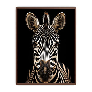Zebra portrait in dramatic lighting