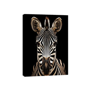 Zebra portrait in dramatic lighting