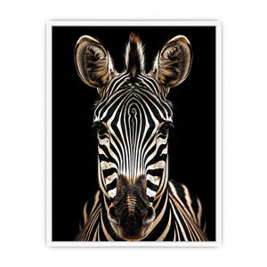 Zebra portrait in dramatic lighting