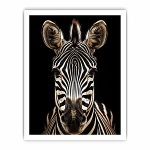 Zebra portrait in dramatic lighting