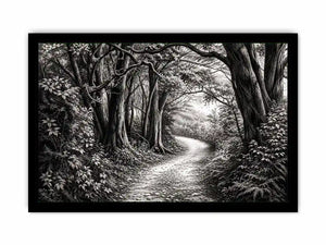 Misty forest path in grayscale