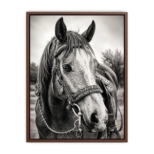 Serene equine portrait in black and white
