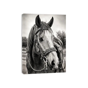 Serene equine portrait in black and white