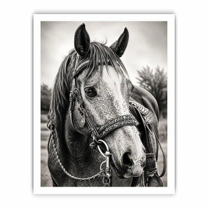 Serene equine portrait in black and white