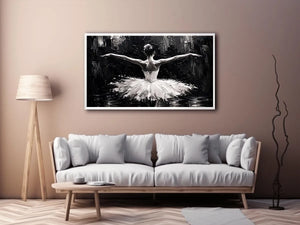 Graceful dance in monochrome light