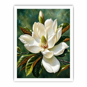 Magnolia bloom in soft light