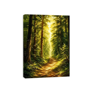 Forest Trees Path Canvas Print